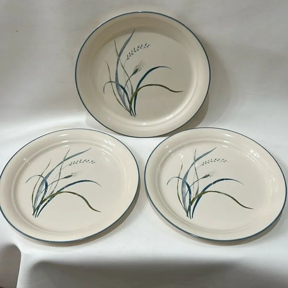 Corelli Coastal Breeze Dinner Plates Set Of 3 Made USA Break & Chip Resistant